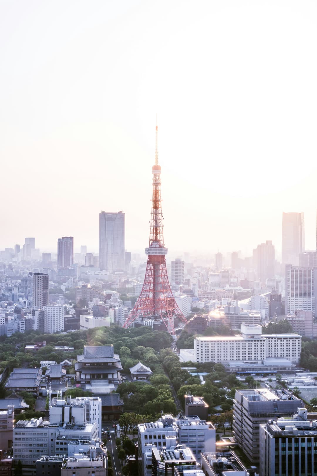 Japan Market Entry Consulting